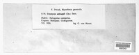 Image Associated With the Occurence